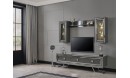 Zen TV Ünitesi